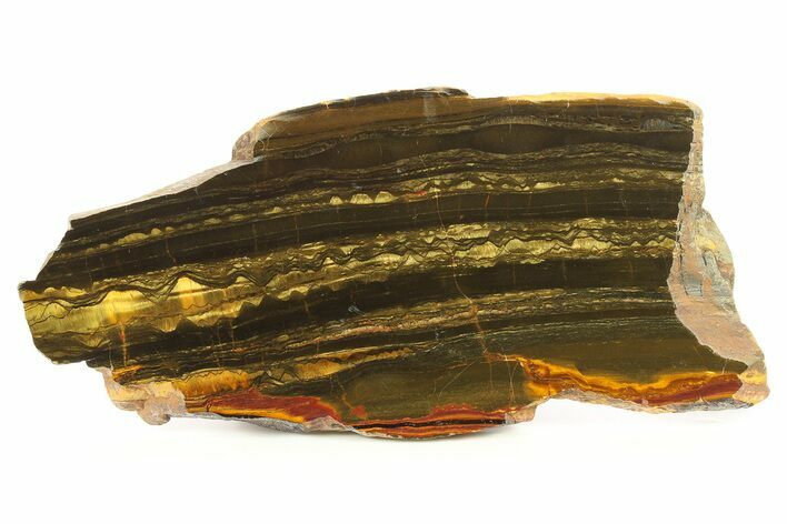 Polished Packsaddle Tiger Eye Slab - Western Australia #287947